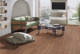 Ламинат Kronospan Forte Classic Дуб Эксклюзивный 8352