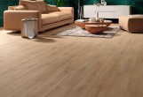 Ламинат Alsafloor 8.0 Elegant Oak Calisson 525