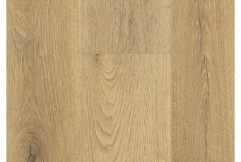SPC ламинат FirstFloor Кавказский натуральный дуб 1F024