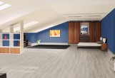 Замковый пробковый пол Corkstyle Wood Cork Oak Leashed
