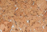 Настенная пробка Wicanders Dekwall Hawai White