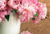 Corkstyle - Настенная пробка Corkstyle Wall Design Vico Nat Настенная пробка Corkstyle Wall Design Vico Nat