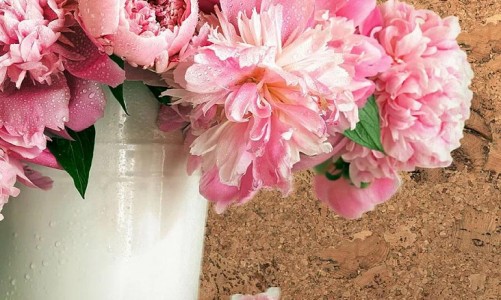 Corkstyle - Настенная пробка Corkstyle Wall Design Vico Nat Настенная пробка Corkstyle Wall Design Vico Nat