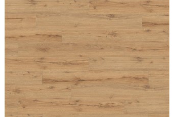 Ламинат Haro Tritty 100 Campus 4V Дуб Альпийский Натур 532063