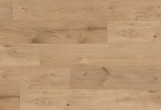 Kaindl Masterfloor - Ламинат Kaindl Masterfloor 8.0 Standard Plank Oak Ferrara Beachlin K2143 EG Ламинат Kaindl Masterfloor 8.0 Standard Plank Oak Ferrara Beachlin K2143 EG