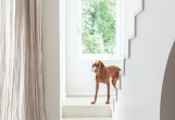 Ламинат Quick Step Muse Ultra Темный голубой камень MUU5485