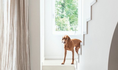 Ламинат Quick Step Muse Ultra Темный голубой камень MUU5485
