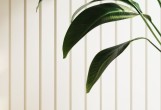 Панель декоративная Orac® Decor W116 BAR XL