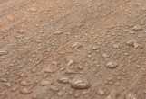 Террасная доска из ДПК CM DECKING MIX мербау