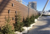Террасная доска из ДПК LEGRO ULTRA NATURALE WALNUT