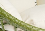 Joygarden - Садовые качели кокон Joygarden Aura green Садовые качели кокон Joygarden Aura green
