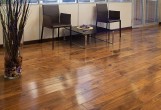 Массивная доска Magestik Floor Экзотическая коллекция Орех Американский Натур 300-1820х90х18 мм