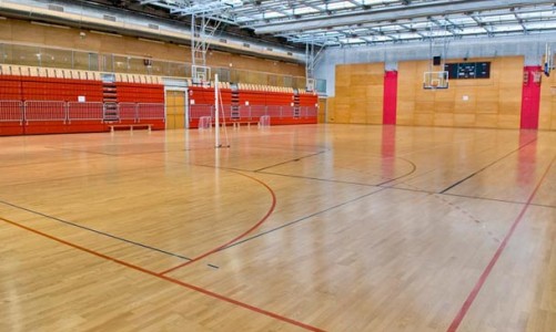 Паркетная система GraboSport StrongAir Elite+ (ясень, дуб)