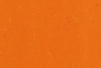 Линолеум Gerflor (Armstrong) Colorette LPX 3,2мм 131-170