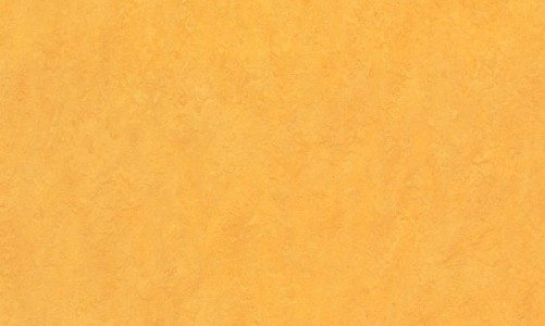 Линолеум Forbo Marmoleum Real 3225 dandelion