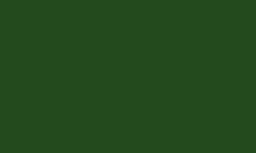 Profi - Линолеум Спортивное покрытие Profi Bigfoot 6,0/1,0 Rich Green Линолеум Спортивное покрытие Profi Bigfoot 6,0/1,0 Rich Green