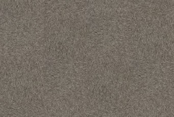 Ковролин Interface Employ loop & lines Praline 4197005 (ковровая плитка)