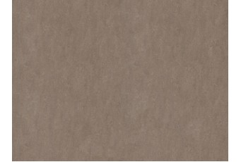 Линолеум Forbo Marmoleum Real 3246 shrike