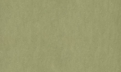 Линолеум Forbo Marmoleum Real 3240 willow